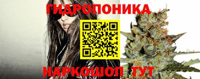 гидропоника Кинель