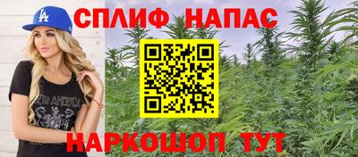гидропоника Кинель
