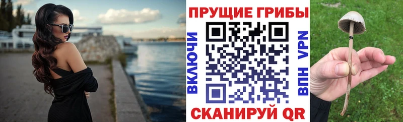 Псилоцибиновые грибы прущие грибы  Мурманск 