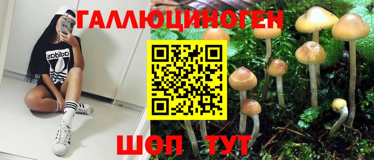 Галлюциногенные грибы GOLDEN TEACHER  Вход с VPN  Мурманск 