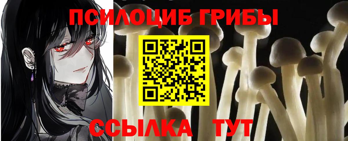 Псилоцибиновые грибы Cubensis Мурманск